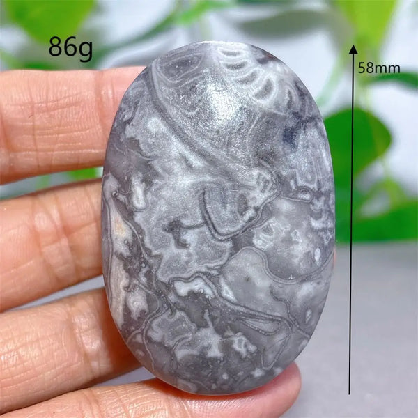 Black White Shellstone-ToShay.org