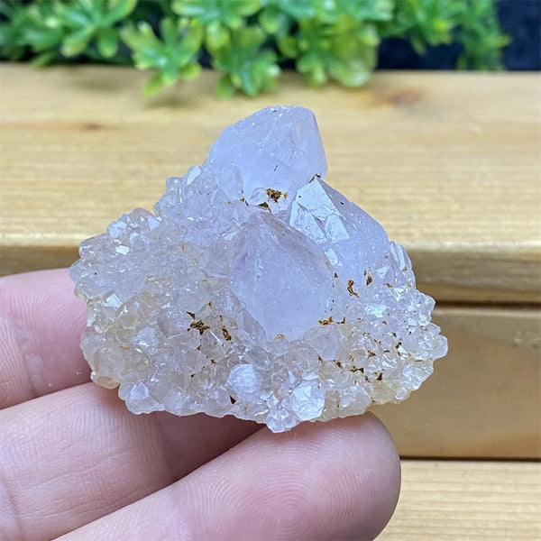 Purple Cactus Crystal Cluster-ToShay.org