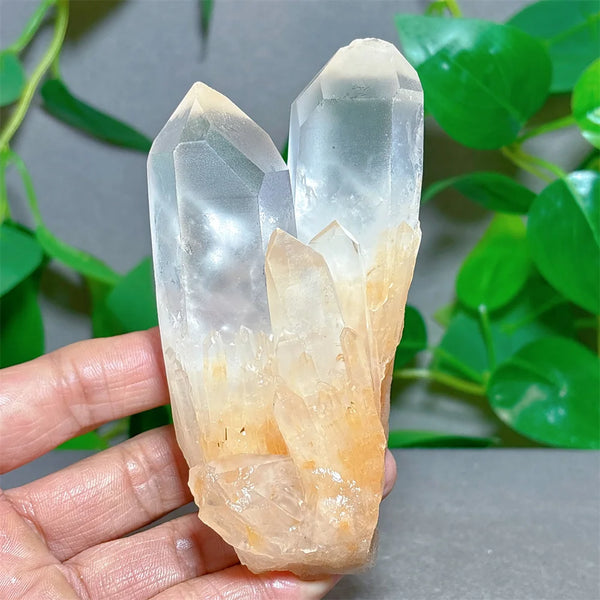 Clear Crystal Quartz Cluster-ToShay.org