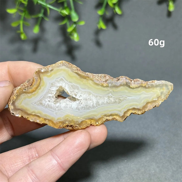 Yellow Agate Slice-ToShay.org