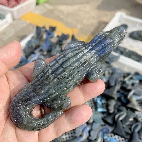 Blue Labradorite Crocodile-ToShay.org