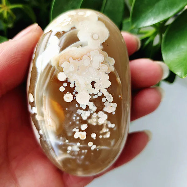 Mixed Lace Sardonyx Agate-ToShay.org