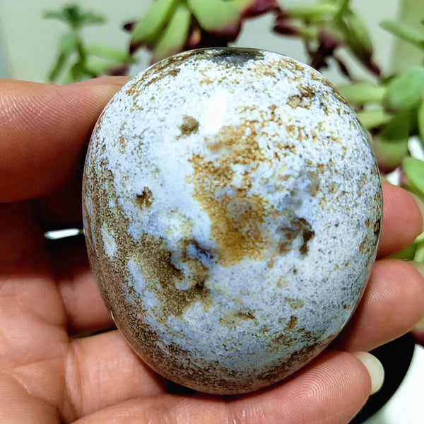 Ocean Jasper Palm Stones-ToShay.org