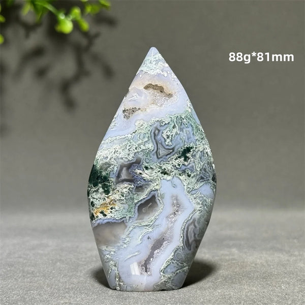 Green Aquatic Plant Agate-ToShay.org