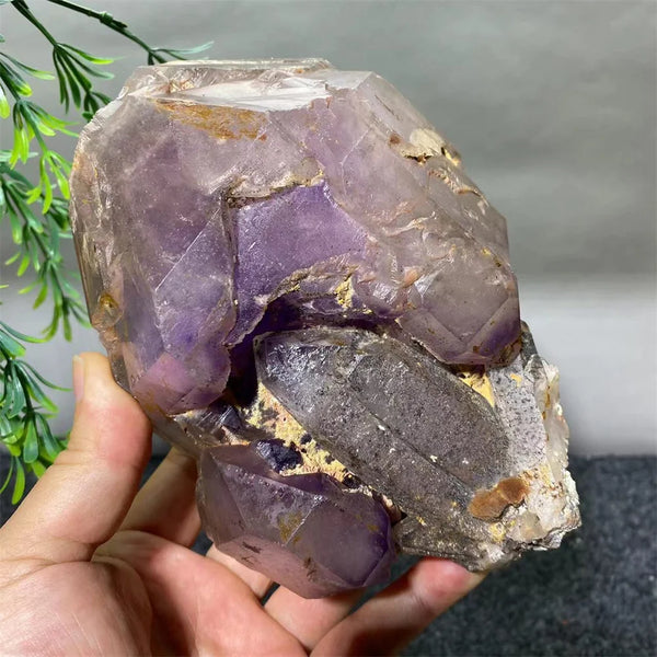 Purple Amethyst Backbone Quartz-ToShay.org