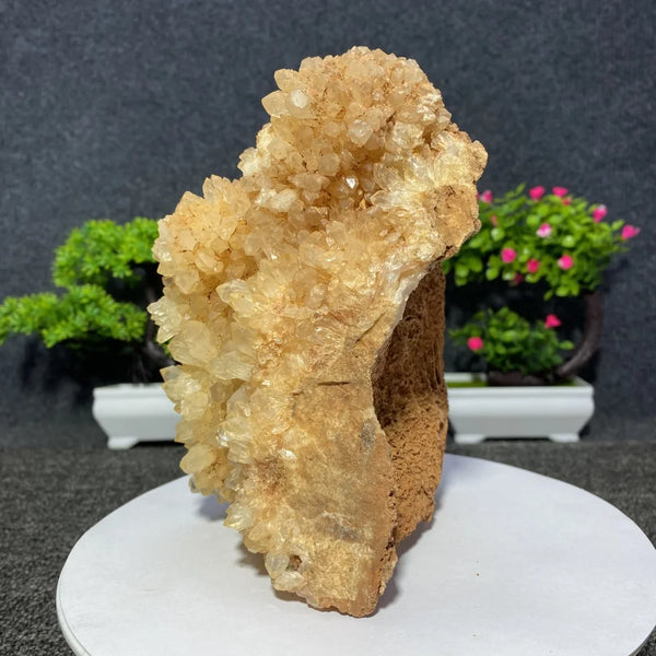 White Quartz Crystal Cluster-ToShay.org