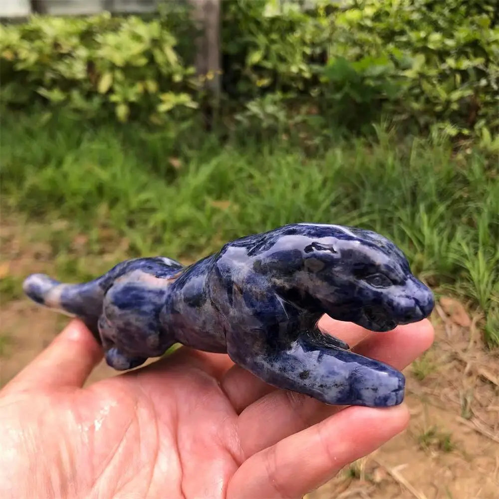 Blue Sodalite Cheetah-ToShay.org