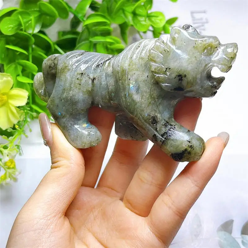Blue Labradorite Tiger-ToShay.org