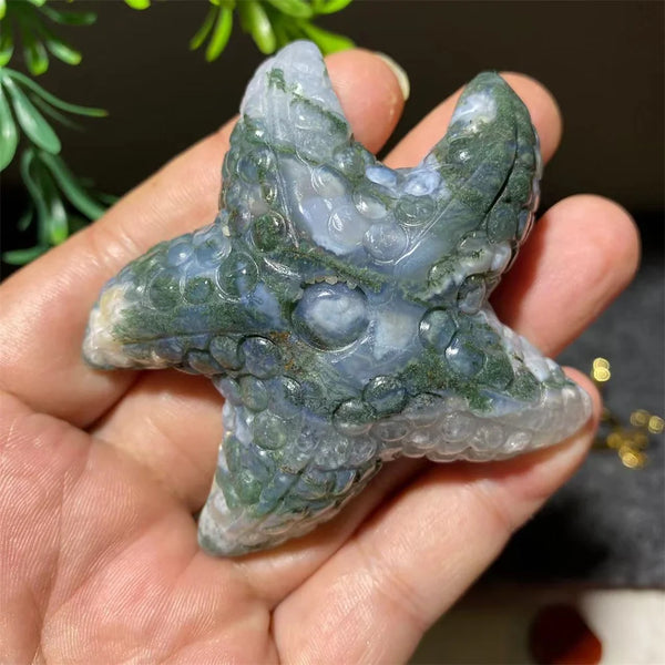 Green Moss Agate Starfish-ToShay.org