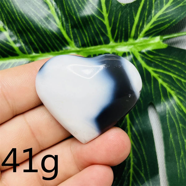 Black White Orca Agate-ToShay.org
