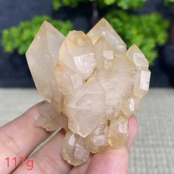 White Quartz Crystal Cluster-ToShay.org