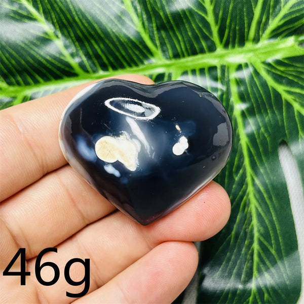 Black White Orca Agate-ToShay.org