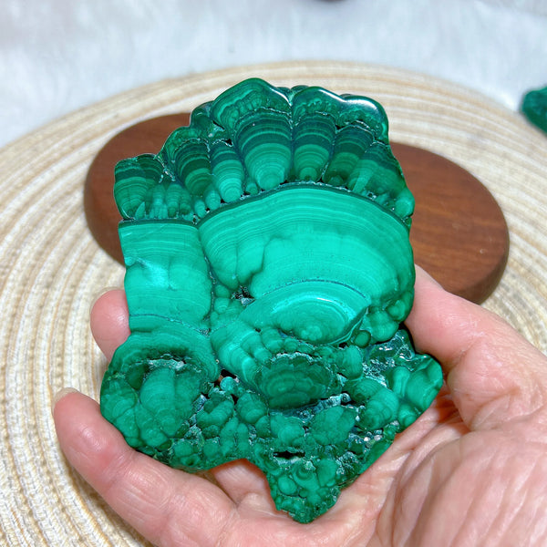 Green Malachite Stone-ToShay.org
