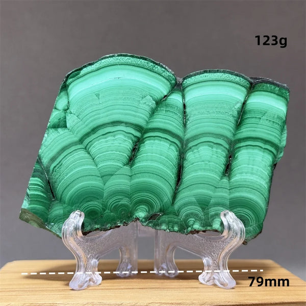 Green Malachite Slice-ToShay.org