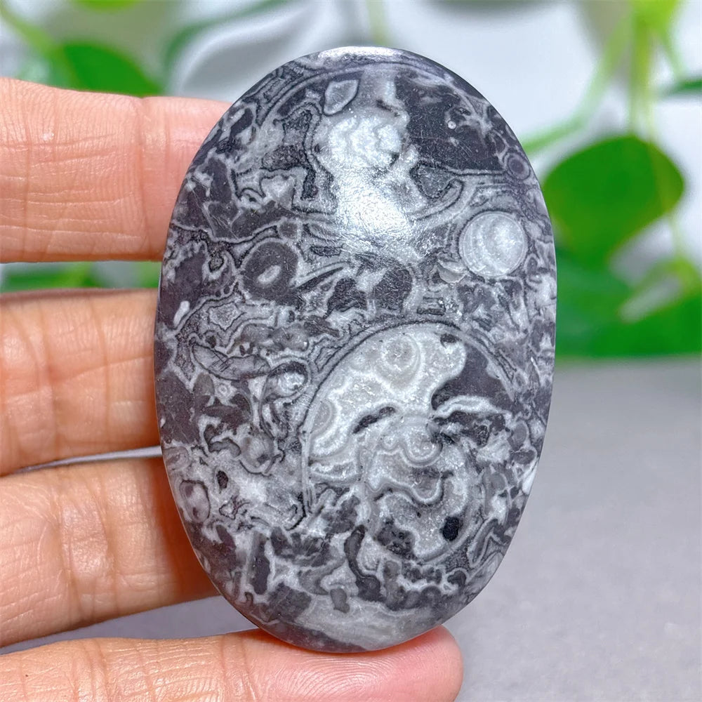Black White Shellstone-ToShay.org