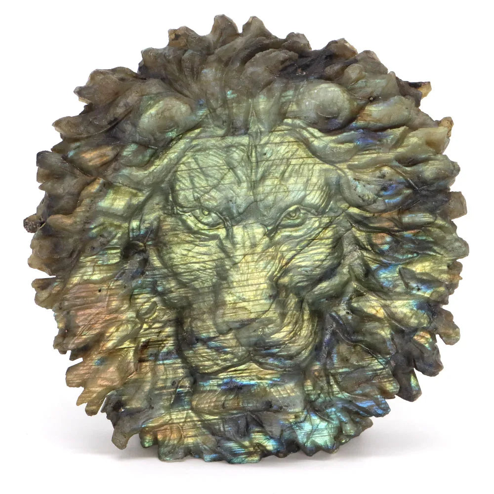 Blue Labradorite Lion Head-ToShay.org