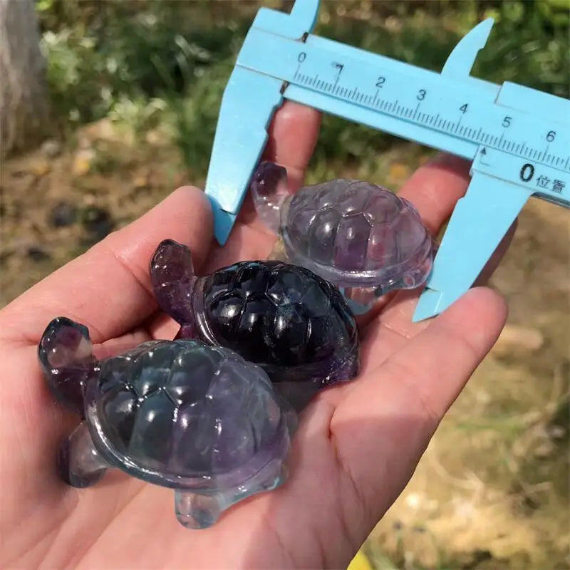 Rainbow Fluorite Turtle-ToShay.org