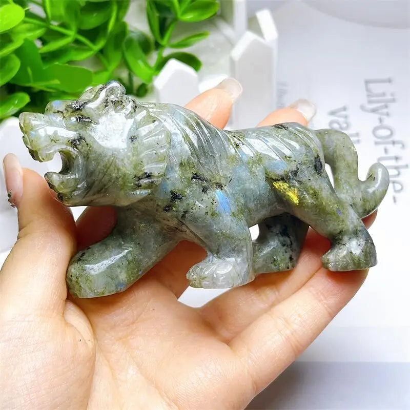Blue Labradorite Tiger-ToShay.org