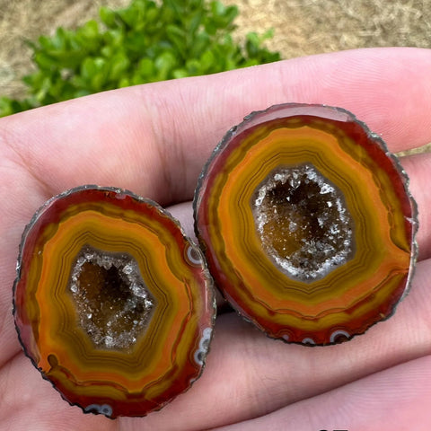 Mixed Agate Crystal Eggs-ToShay.org