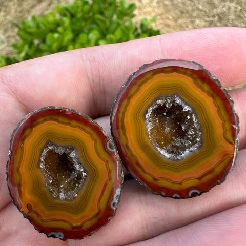 Mixed Agate Crystal Geode-ToShay.org