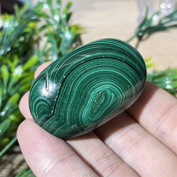 Green Malachite Palm Stone-ToShay.org