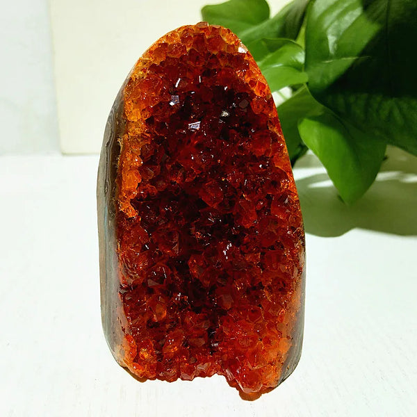 Orange Citrine Geode Cluster-ToShay.org