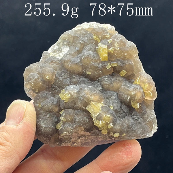 Yellow Diluent Cluster-ToShay.org