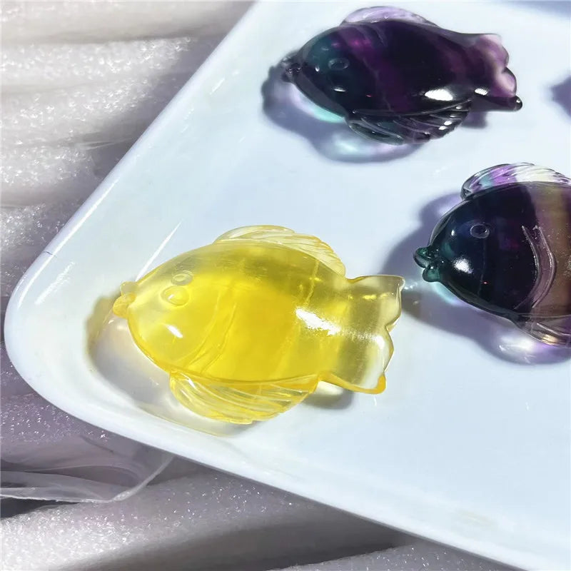 Rainbow Fluorite Fish-ToShay.org