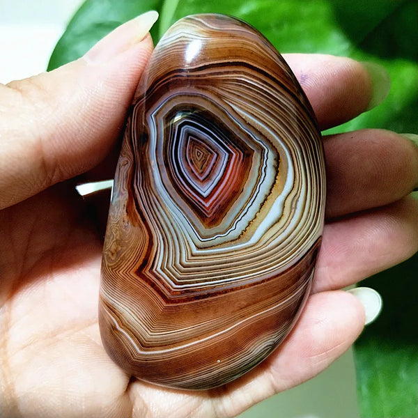 Red Lace Sardonyx Agate-ToShay.org