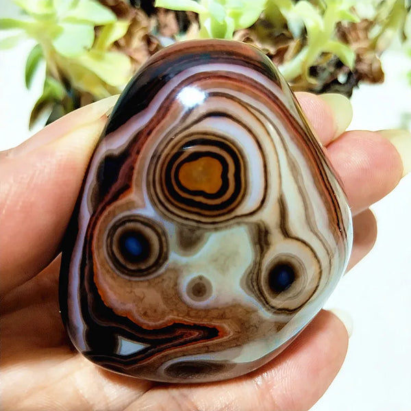 Red Lace Sardonyx Agate-ToShay.org