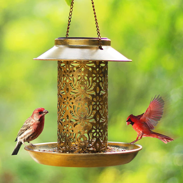 Bird Feeder Garden Light-ToShay.org