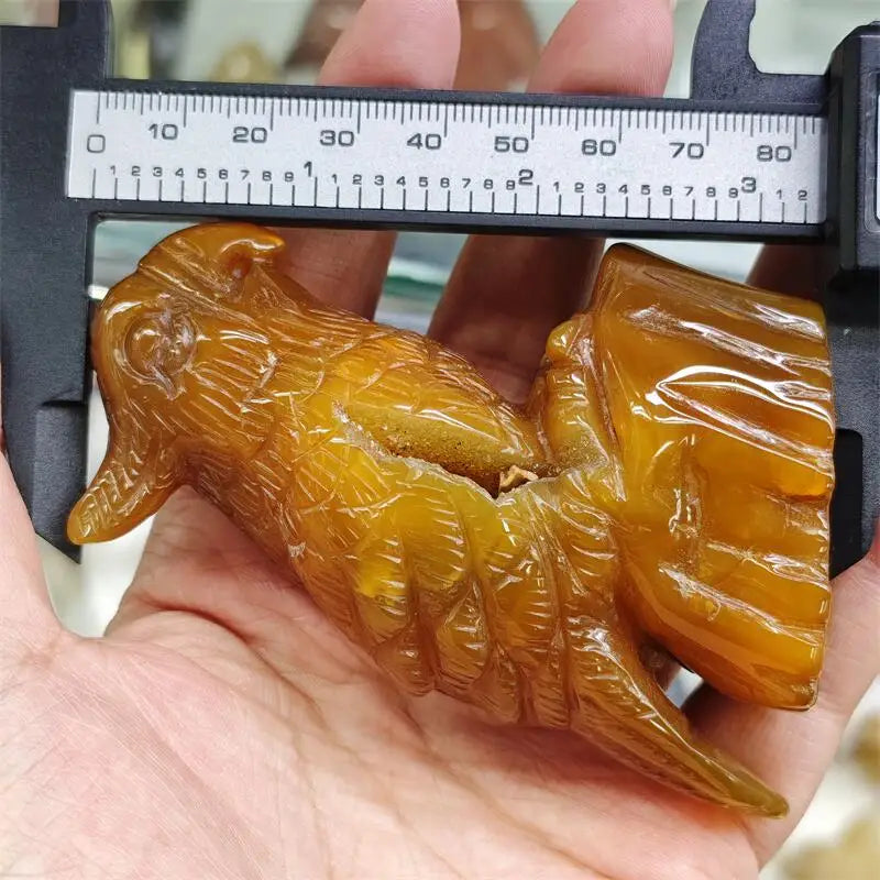 Yellow Agate Geode Parrot-ToShay.org