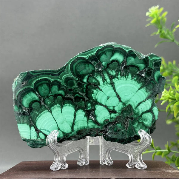 Green Malachite Slice-ToShay.org