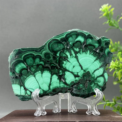Green Malachite Slices-ToShay.org