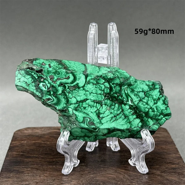 Green Malachite Raw Slice-ToShay.org