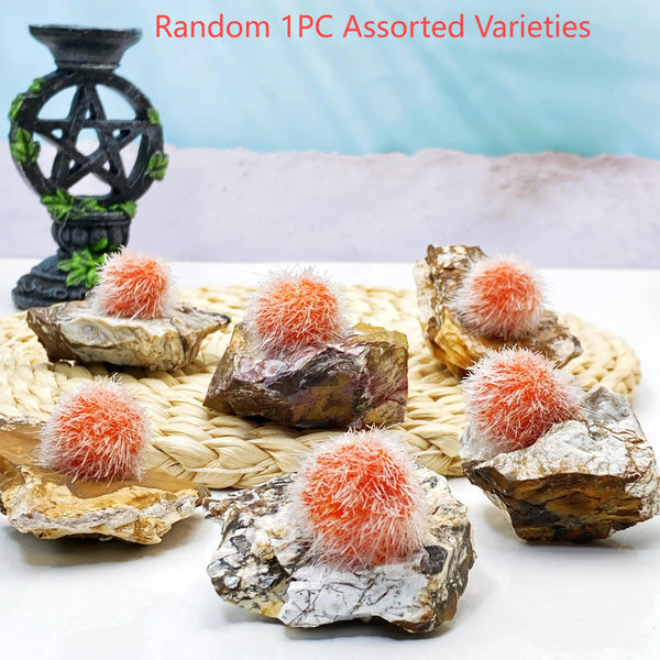 Orange Zeolite Cluster-ToShay.org