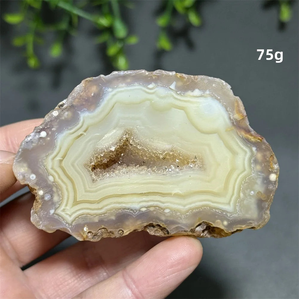 Yellow Agate Slice-ToShay.org