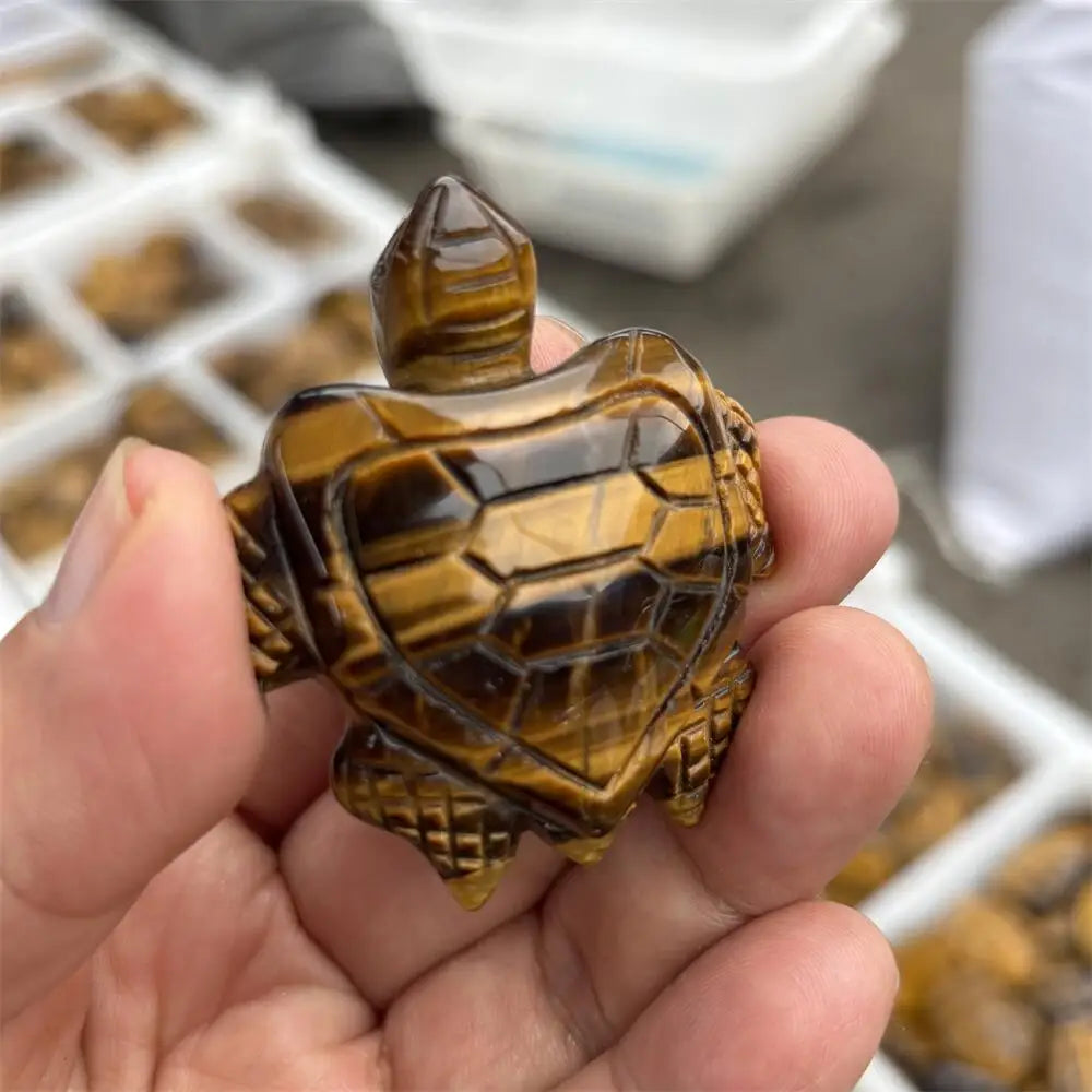 Yellow Tiger Eye Turtle-ToShay.org