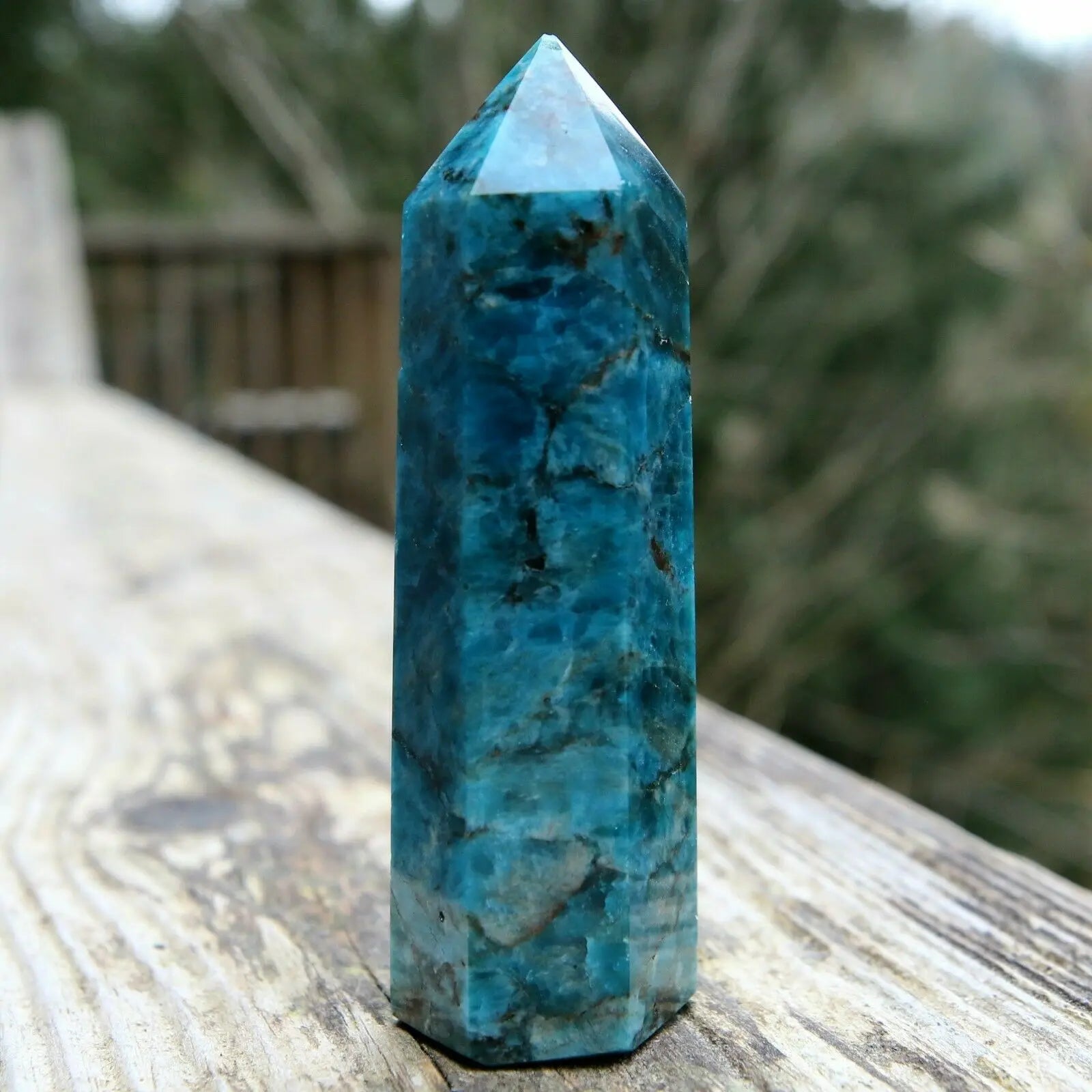 Blue Apatite Point-ToShay.org