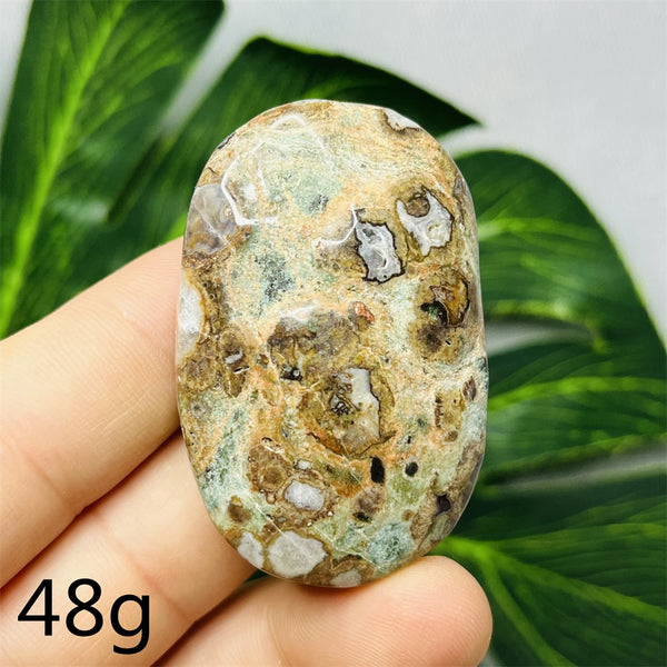 Australian Natural Opal Agate Stone Palmstone Raw Mineral Specimens Home Room Decoration Holiday Gifts Spiritual Healing-ToShay.org