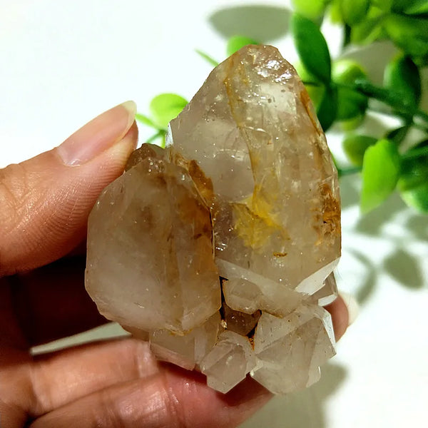 Yellow Mud Sparkling Clusters-ToShay.org