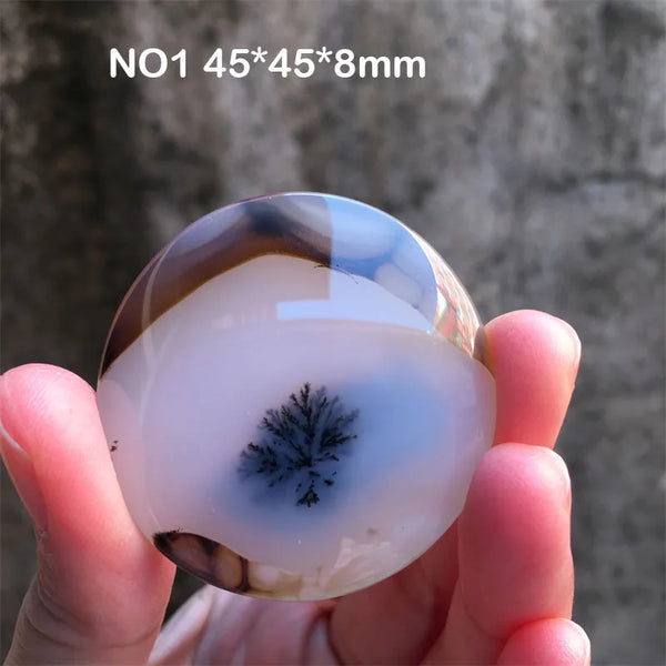 White Chalcedony Grass Agate-ToShay.org