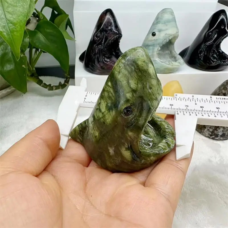 Mixed Crystal Shark Heads-ToShay.org