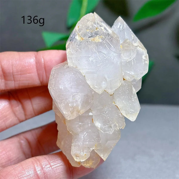 Clear Lotus Backbone Quartz Cluster-ToShay.org