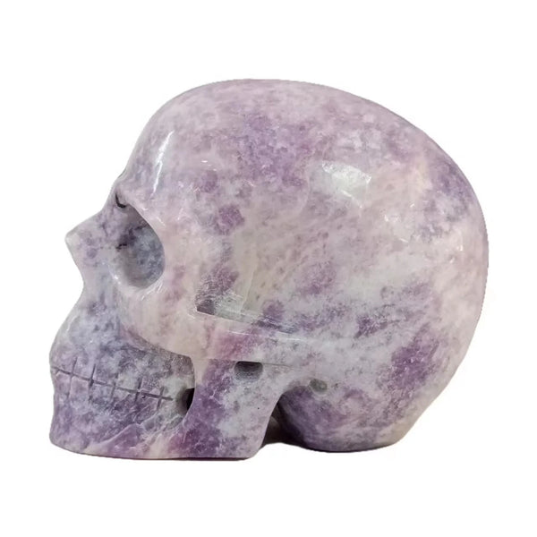 Mixed Crystal Skulls-ToShay.org