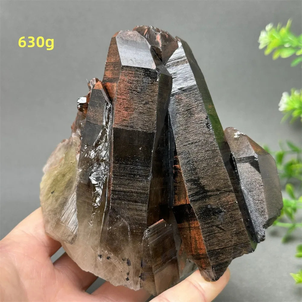 Black Quartz Crystal-ToShay.org