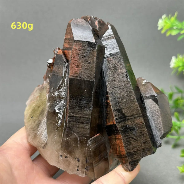 Black Quartz Crystal-ToShay.org