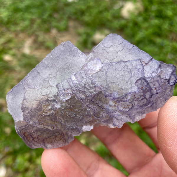 Purple Edge Fluorite-ToShay.org