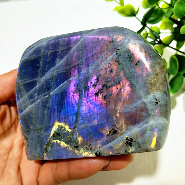 Violet Labradorite Crystal-ToShay.org