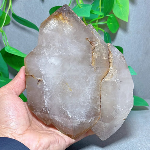 Smokey Backbone Enhydros Crystal-ToShay.org